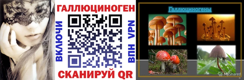 купить закладку  Беломорск  Галлюциногенные грибы Magic Shrooms 